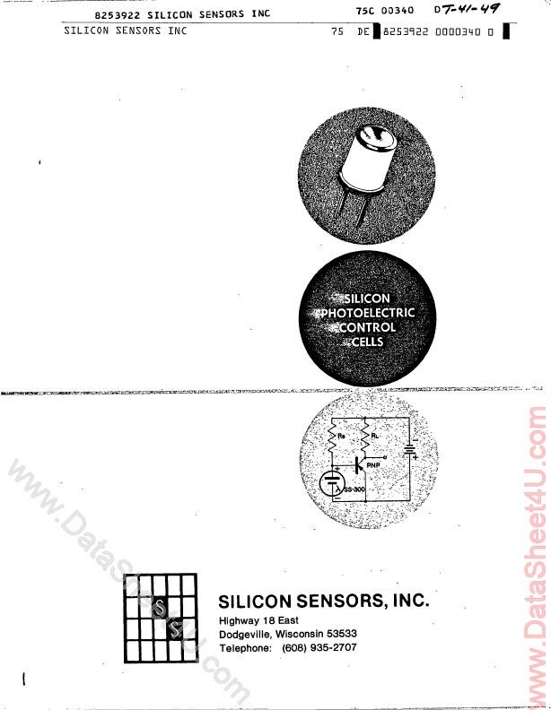 SS300-2 Silicon Sensors