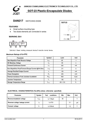 DAN217