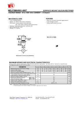 MELFSM4002