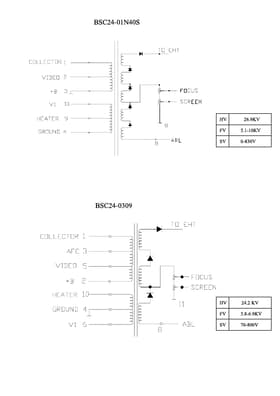 BSC24-0309