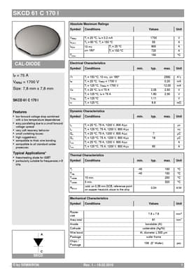 SKCD61C170I