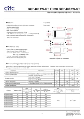 BGP4002W-ST