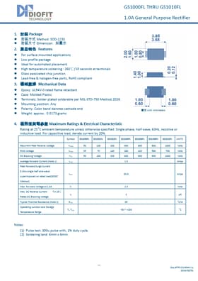 GS1000FL