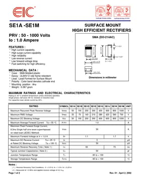 SE1M