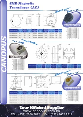 CSMT1307