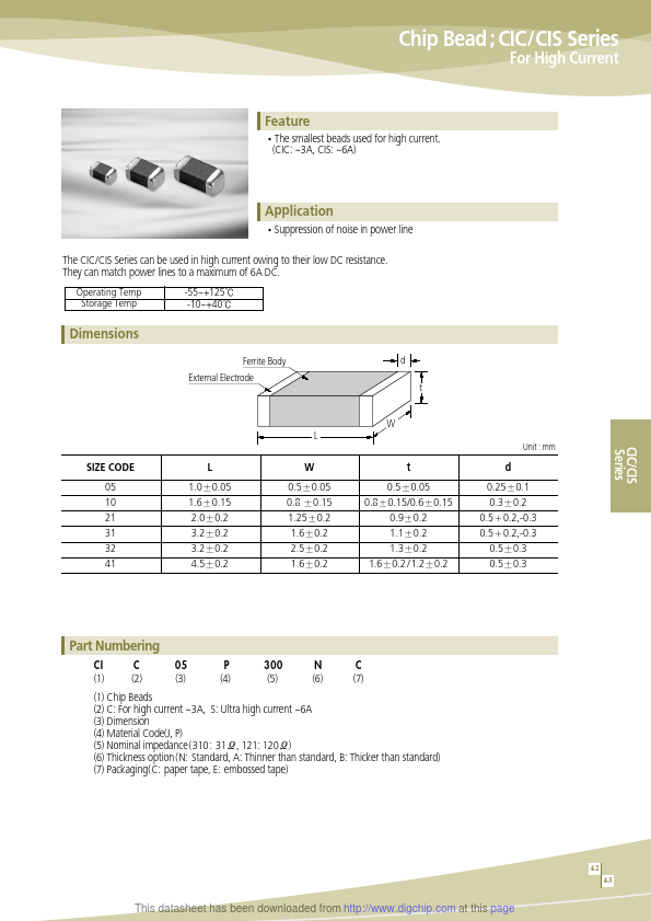 CIC21P300