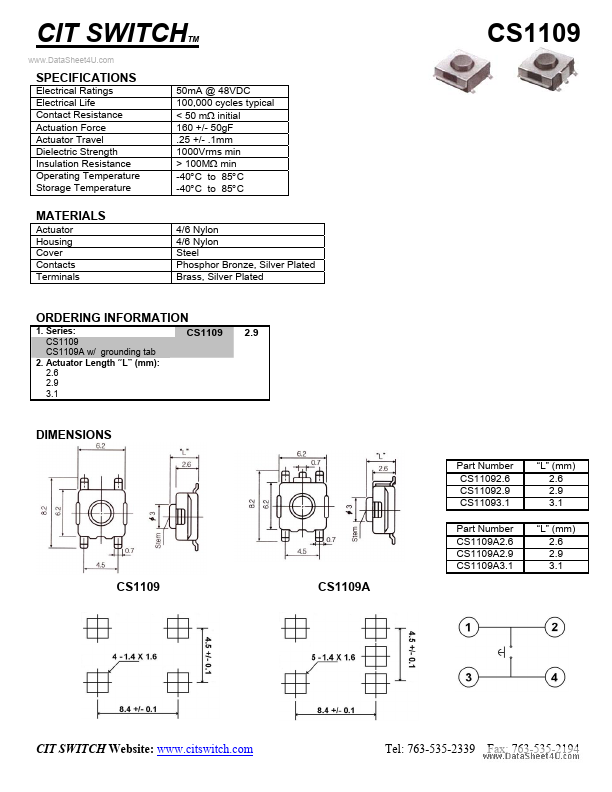 CS1109 CIT Relay