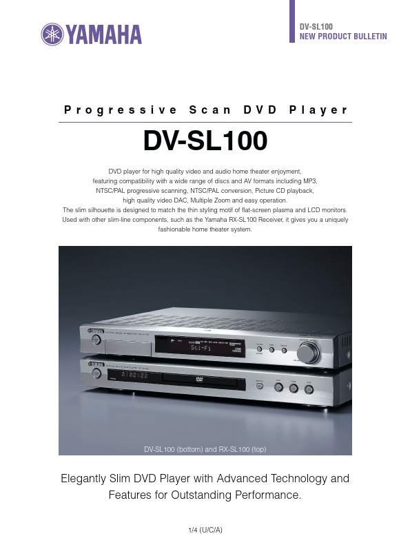 DV-SL100