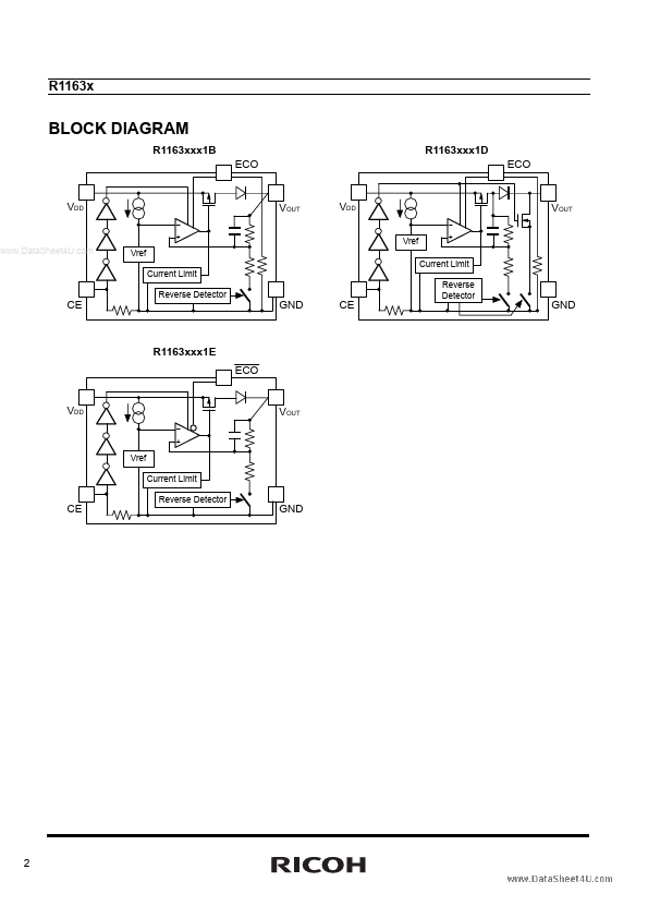 R1163K381E