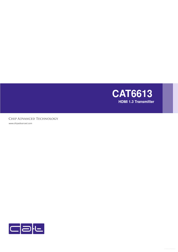 CAT6613 Chip Advanced Technology