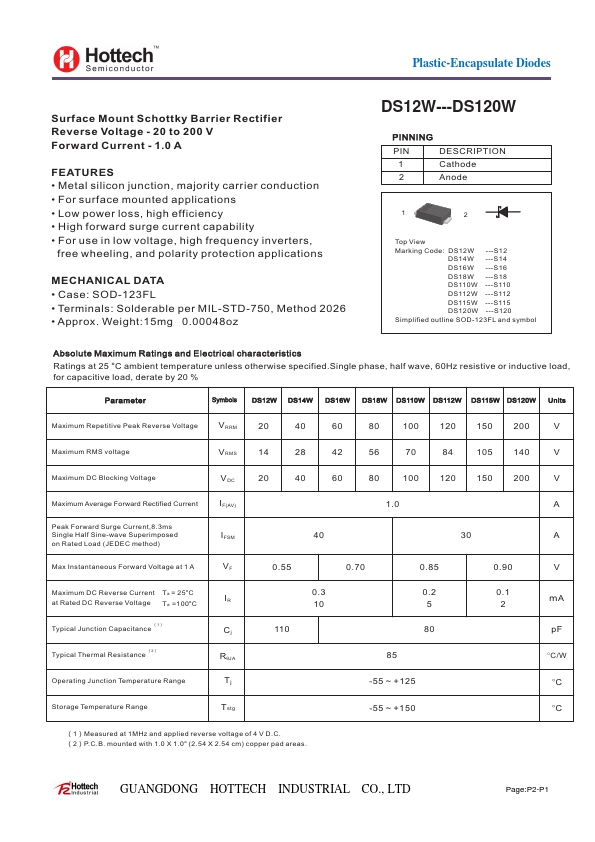 DS110W HOTTECH