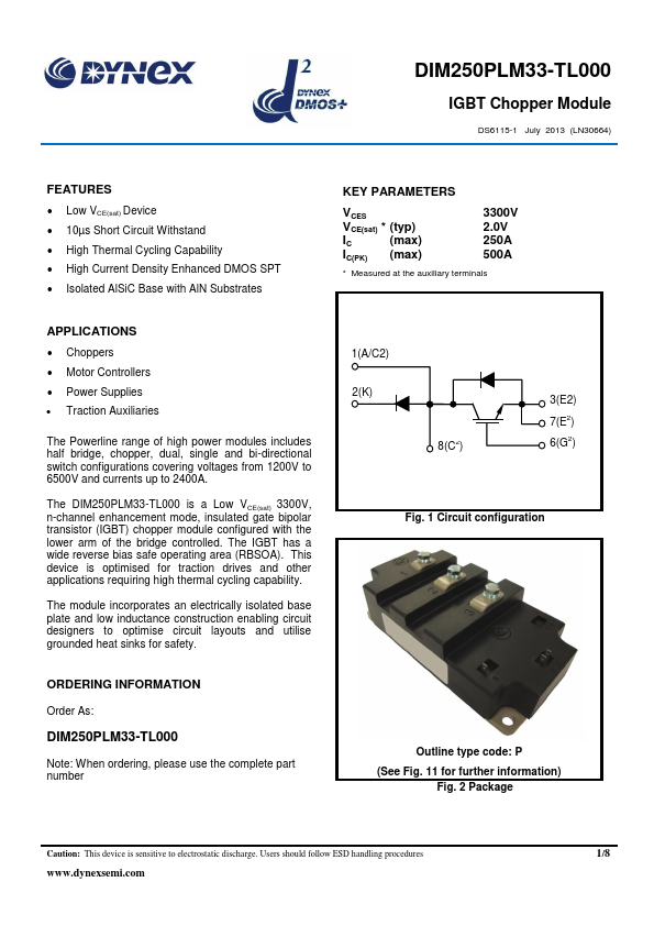 DIM250PLM33-TL000