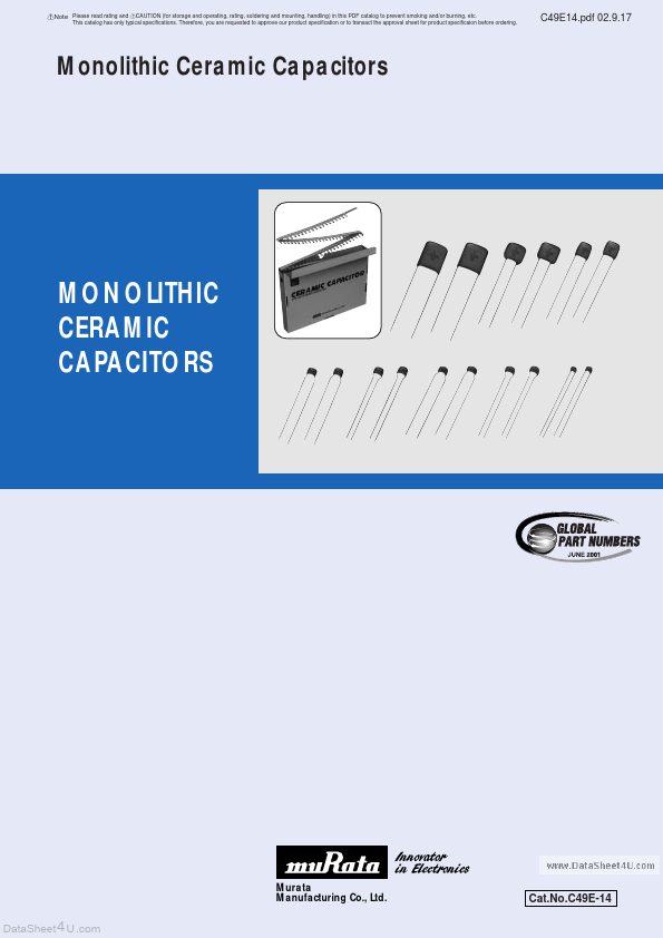 Caution, Ceramic Capacitor