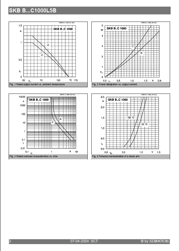 SKBB250C1000L5B