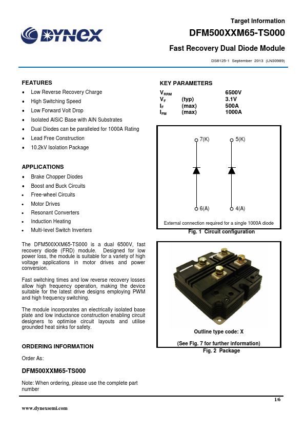 DFM500XXM65-TS000