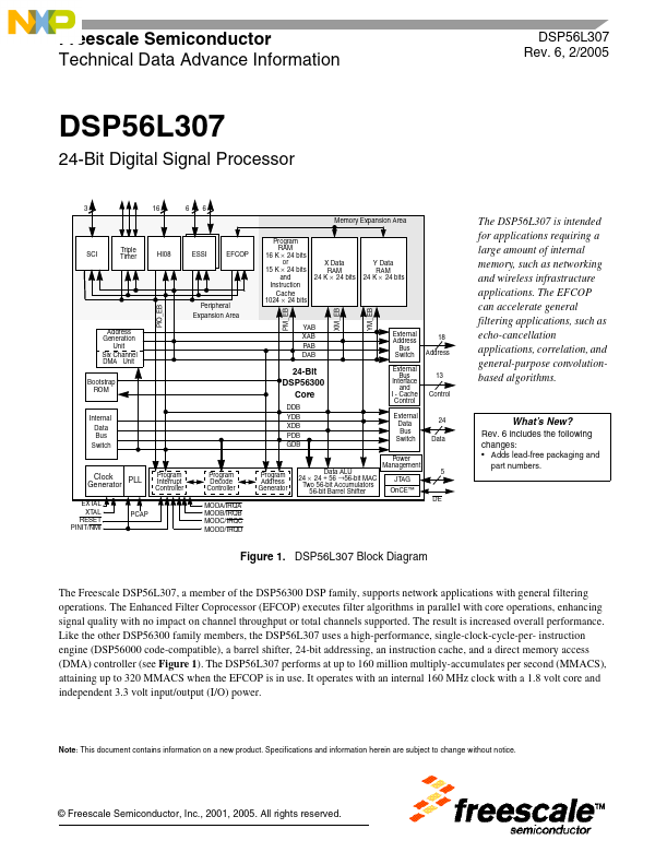 DSP56L307