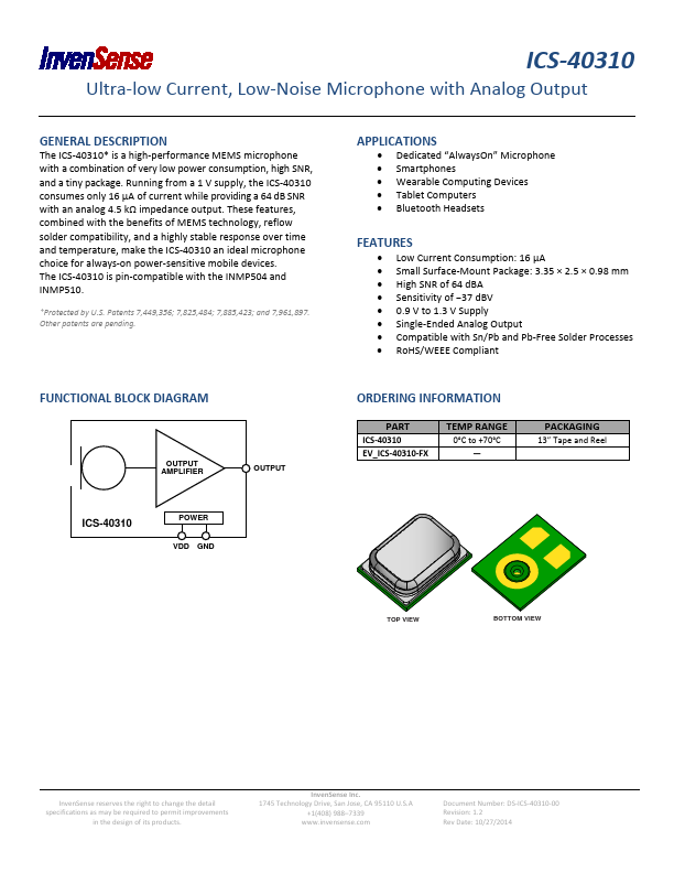 ICS-40310