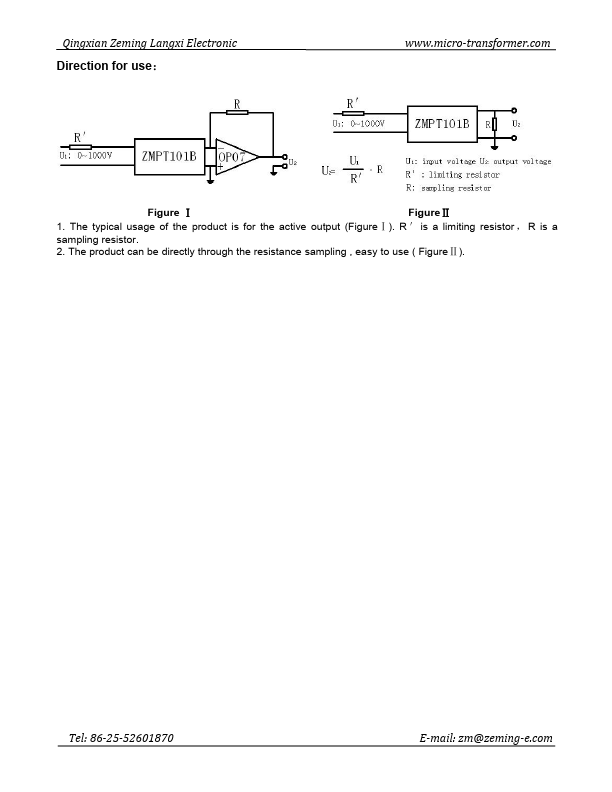 ZMPT101B