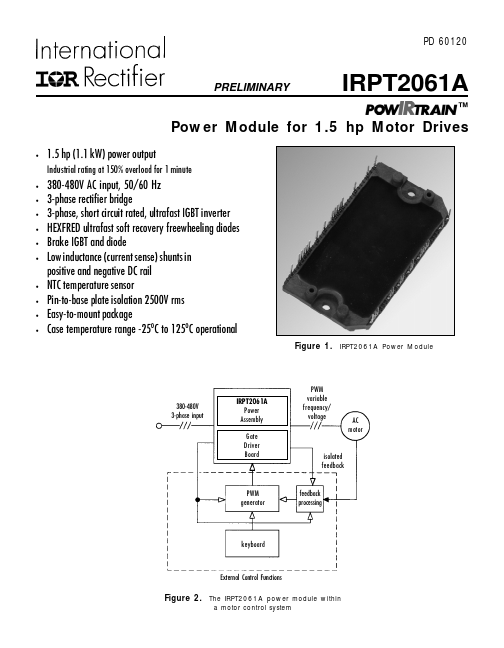 <?=IRPT2061A?> डेटा पत्रक पीडीएफ